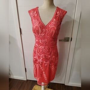 Cache Embroidered Mesh Mini Dress Size 10